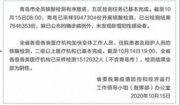 手机看片1024国产,揭秘手机观影新潮流